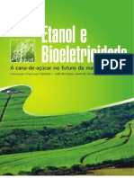 Etanol e Bioeletricidade