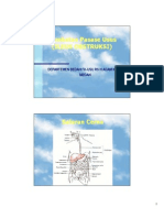 gis_20102011_slide_hambatan_pasase_usus_atau_ileus_obstruksi.pdf