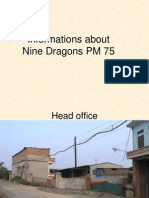 PM 75 Nine Dragons