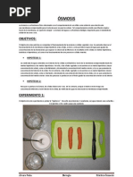 Download Practica smosis by Alvaro Pea SN118104080 doc pdf