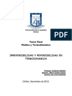 Tarea Final Irreversibilidad y Reversibilidad Mgodoy