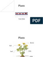 Plants 2