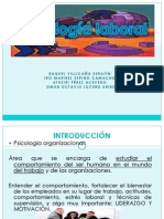 PSICOLOGÍA ORGANIZACIONAL 