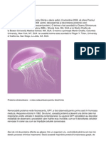 proteina fluorescenta