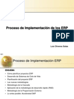 10.1  Implementación ERP