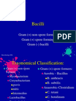 Microbiology Module 7 - Bacilli