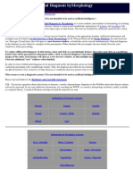 Dermatology DDX Morfologi