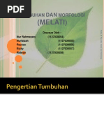 Download morfologi melati by Iffa Nurfaizah Amatillah Imtisal SN118221268 doc pdf