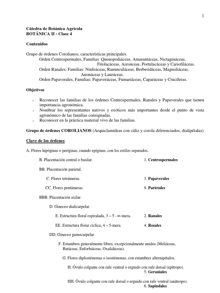 Órdenes Corolianos y Familias Agronómicas | PDF | Brócoli | Mostaza ...