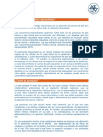 Carcinoma Basocelular PDF