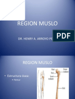 Region Muslo