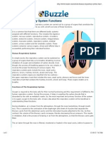 Human Respiratory System Functions