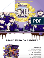 Cadbury Brand Study Group 10