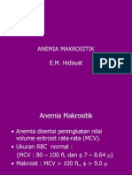 Anemia Makrositik