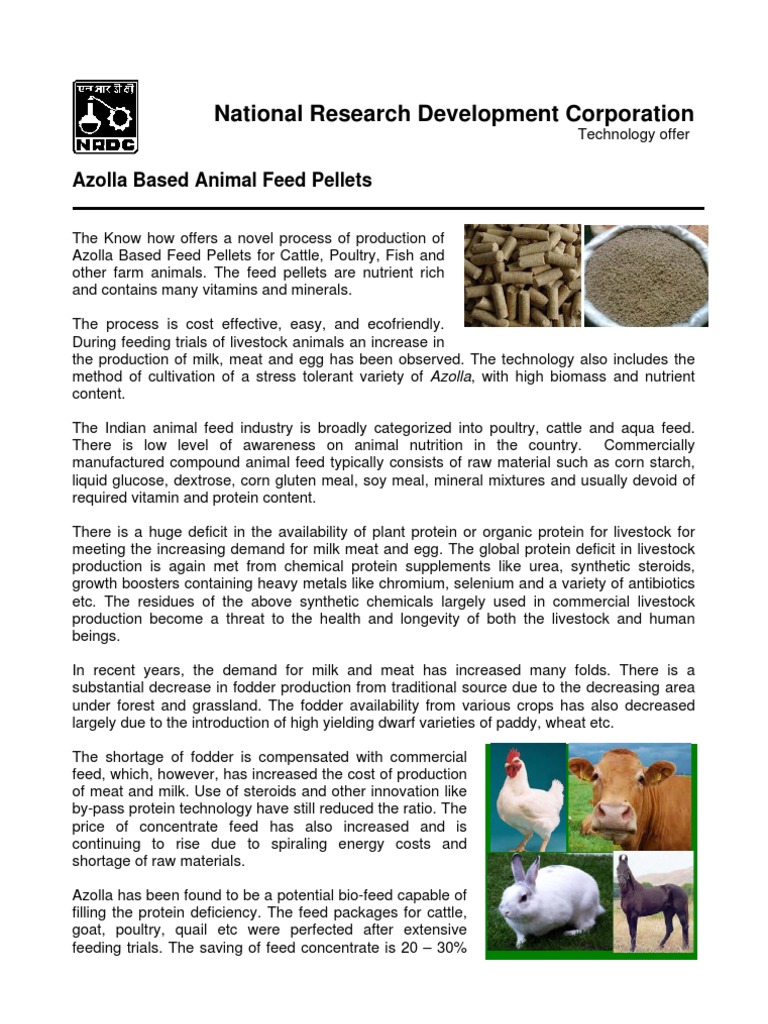 Animal Feed Pellets Animal Feed Livestock
