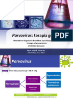 Parvovírus