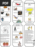 Leaflet Dermatitis