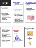 Leaflet Dermatitis