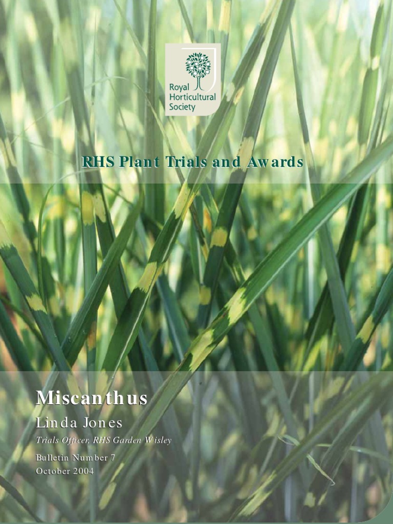 Miscanthus 04 Pdf Cultivar Botany