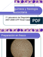 Frotis sanguíneos y fisiología leucocitaria