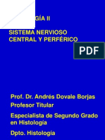 Sistema Nervioso Central Periferico