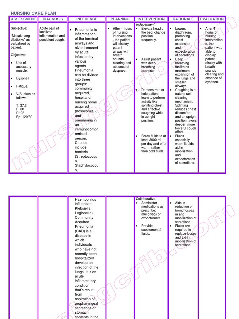 Nursing Care Plan Community Acquired Pneumonia