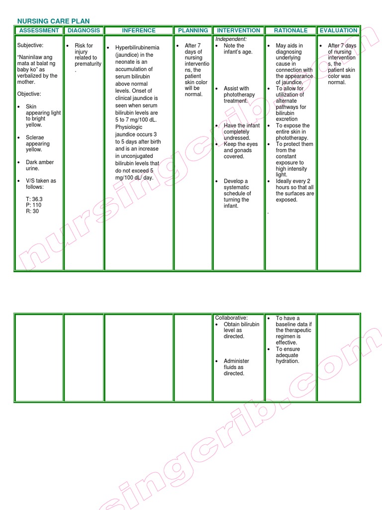 Nursing Care Plan Hyperbilirubinemia Jaundice)