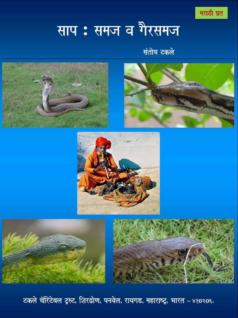 Snakes Myths Facts In Marathi By Santosh Takale Snake Squamata