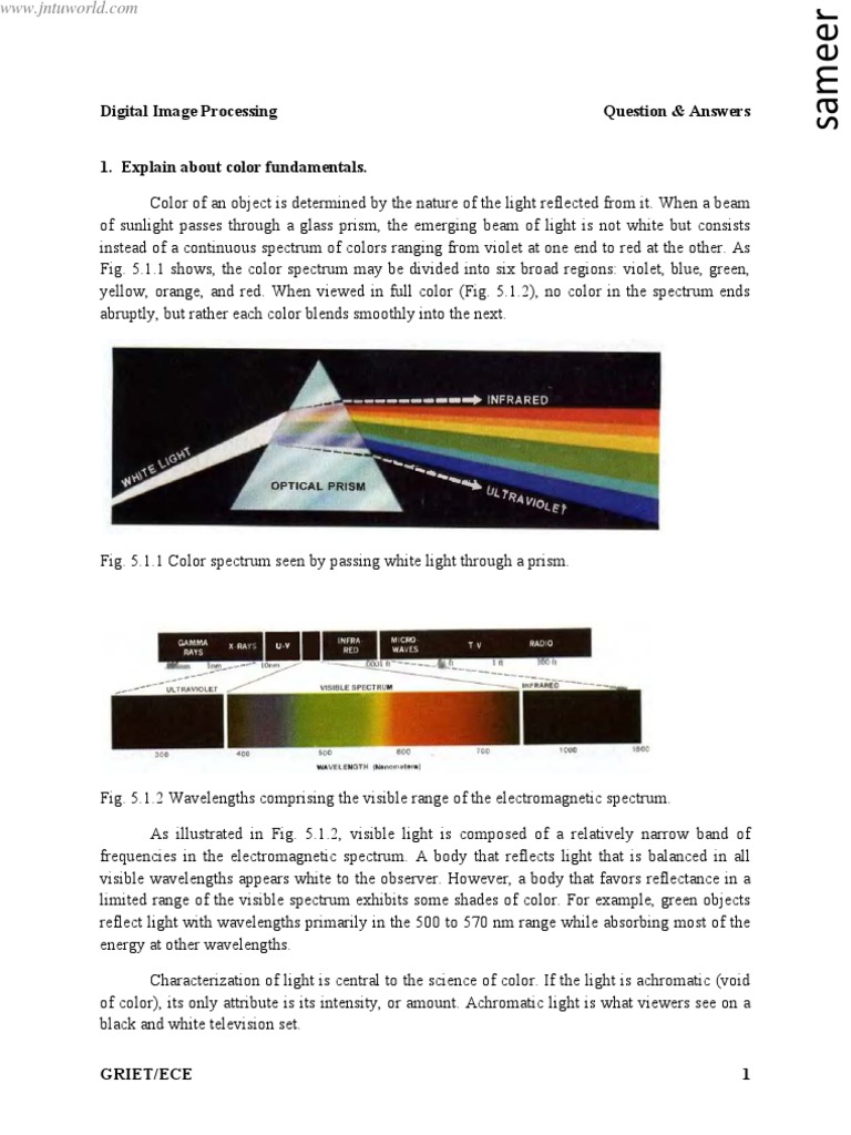 Computational Color Science: Variational Retinex-like Methods