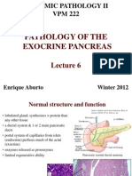 Pancreas L6 12 PDF