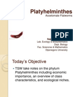 Platyhelminthes: Acoelomate Flatworms
