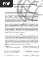 OS CLIMAS NATURAIS DO MUNICÍPIO DE BELO HORIZONTE – MG