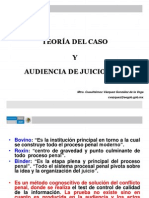 APEA Teoria Del Caso