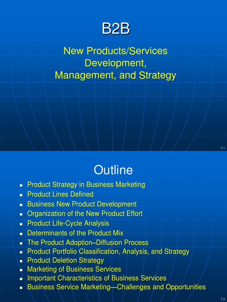 B2B Product Development Strategies | PDF | New Product Development ...