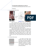 Sistem Reproduksi Sel Kelamin Dan Siklus Reproduksi Mencit