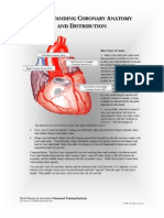 cardiac anatomy charts