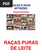 Raças de Bovinos Caprinos Ovinos