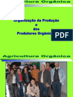 Agricultura Orgânica Organização Produtores