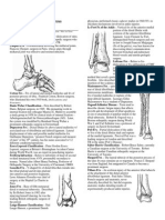 019 Foot and Ankle Classifications