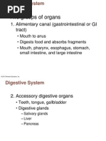 Digestive Anatomy Lab