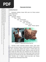 Download BAB II Tinjauan Pustaka by Ramdhani SN118665424 doc pdf