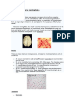 Neisseria Meningitidis PDF