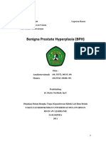 Benigna Prostate Hyperplasia (BPH