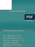 causas da obesidad