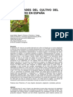 PosibilidadescultivopistacheroEspana Editora 241 34