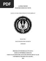 Download KAITAN ANTARA SRTUKTUR DAN FUNGSI JARINGAN by NRANGWESTHI SN118725192 doc pdf