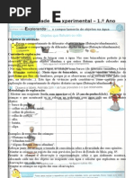 Atividade Experimental - 1.º Ano
