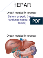 Hepar: Organ Metabolik Terbesar