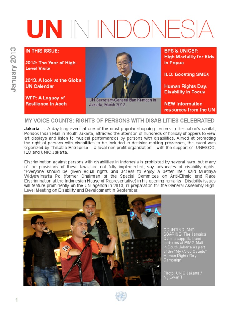 UNII Newsletter - January 2013 - EN | PDF