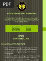 Download presentasi mimosa pudica by Sigit pamungkas SN118787670 doc pdf